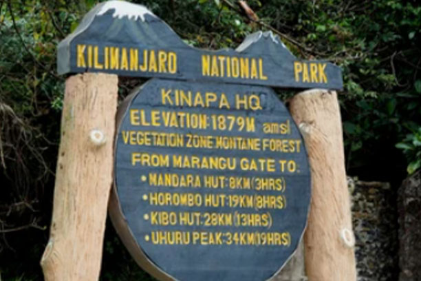 Trekkers approaching Mawenzi on Rongai Route
